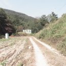 하천농장 이미지