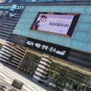 엘리시아 | 종로 웨딩밴드 가격 비교 만족 엘리시아 후기