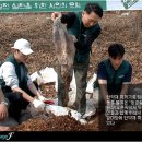 자연순환연구소