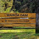 9월 20일 Wairoa Loop Track &amp; Suspension Bridge Track 이미지