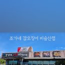 조가네갑오징어비슬산점