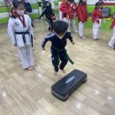 해빛태권도 이미지