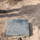 군산 신시도에서 이미지