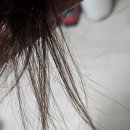 미전 | 극손상모 헤어에센스추천 미전코스메틱 헤어앰플 솔직후기