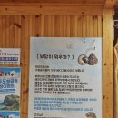 녹진한 보말칼국수가 인상적이던 제주 사려니숲길 맛집