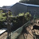 척산농장 이미지