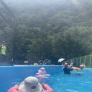 천동물놀이장 이미지