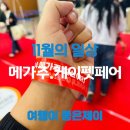 (주)코로나펫 | 일산 킨텍스 2024 메가주 일산(하) 케이펫페어 관람 후기 및 2025년 일정 공유