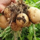 [노인심리상담사 활용]어르신 자서전 만들기 강사 양성과정 | 농업인강사의 역할과 전문성, 그리고 강의 윤리의 본질을 다시 생각하다