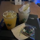 고바슨르그랑팔레드수성 | 대구 라운지펍🍸르그랑팔레드 고바슨수성점🍸 솔직후기
