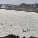 삼문파크골프장 이미지