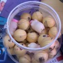 GS25 구로싸이언점 이미지