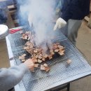 보그펫 | 게코빌리지&amp;펫서플라이&amp;보그렙타일&amp;희사모 합동 정모 후기 및 근황