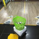 신천게임장