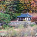 가송길(도산면) 이미지