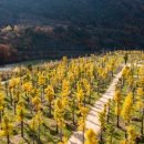 스테이 소안 이미지