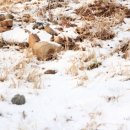 상당여관 이미지