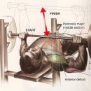 라인 벤치 이미지