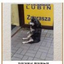 쎈스 이미지