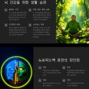 부의 역설 강범구 NLP 인리치아카데미 브레인 마스터 1주차?