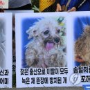 대전경매장