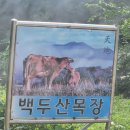 백두산목장 네이버블로그