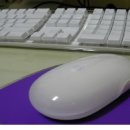 애플무선키보드(apple wireless keyboard)팔아요~ 사진有 이미지