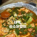 승소닭갈비 | 태백 물닭갈비 현지인 맛집 승소닭갈비 내돈내산 후기