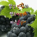 별난 시아버지와 며느리 이미지