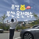 내일을 여는 교실(3) | 부산 운전연수 12년 장롱면허 탈출 ‘푸쌤 운전교실’ 찐 내돈내산 후기🚗💛