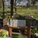 소나농장 이미지