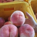 광준농장 이미지