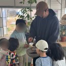 행운농장 | 대구경북 아이랑 열대식물 체험 l 다하와 영어농장 팜투어