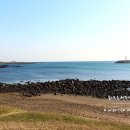 하모해수욕장 이미지