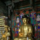 남원 선국사 건칠아미타여래좌상 및 복장유물 이미지