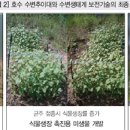 (주)디에스그린 이미지