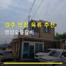 완소한우 | 경주 맛집 육류 추천 영양숯불갈비 방문 전 꼭 확인할 점