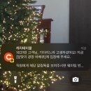디오피피 | 봄싫프시작