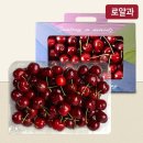 라르떼