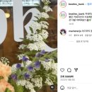 비틀즈뱅크