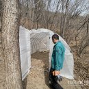 소망전기