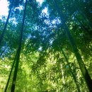 김수곤농장 이미지