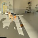 해피훈트 이미지