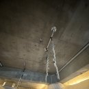 남천사거리(3) | 광안리 운동맛집 다이어트 , 근력운동 , 요가 - 라플스 번지피지오 &amp; 바레