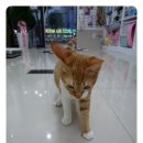 구로종합동물병원 이미지