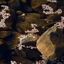 첫사랑노래연습장 이미지