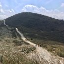 황금물결민박 | 2025 황매산 억새축제(10/18~26)완벽 가이드! 주차·셔틀·포토존 꿀팁 총정리