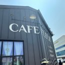 일산 덕이동 베이커리 신상 대형 카페 카페플뢰르 캐모마일릴렉서 추천 후기