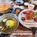 베스트올 주안이화사거리점 | 인천 동태탕 오징어보쌈 맛집 양은이네 예술회관역주안점 세트주문 후기