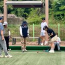 게이트볼 이미지